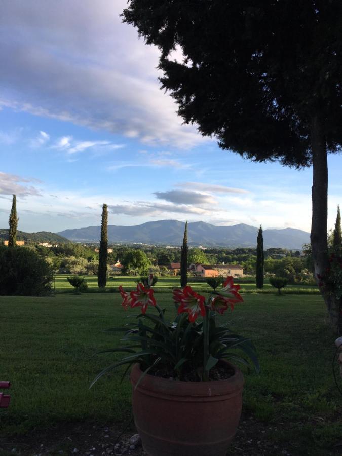 Relais Del Landhaus Capannori