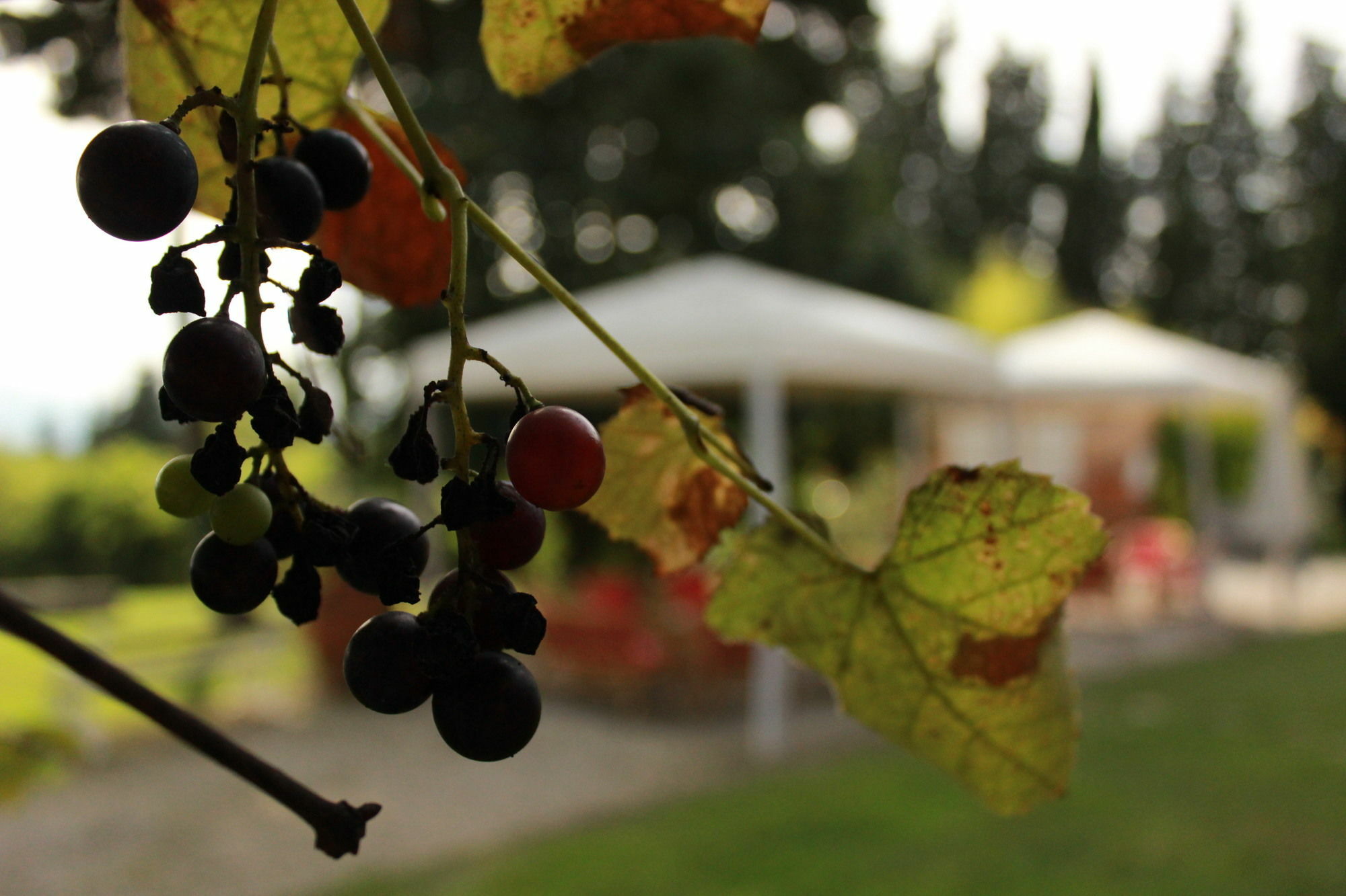 Relais Del Country house